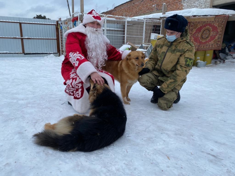 Росгвардия поддержала приют для бездомных животных в Томске