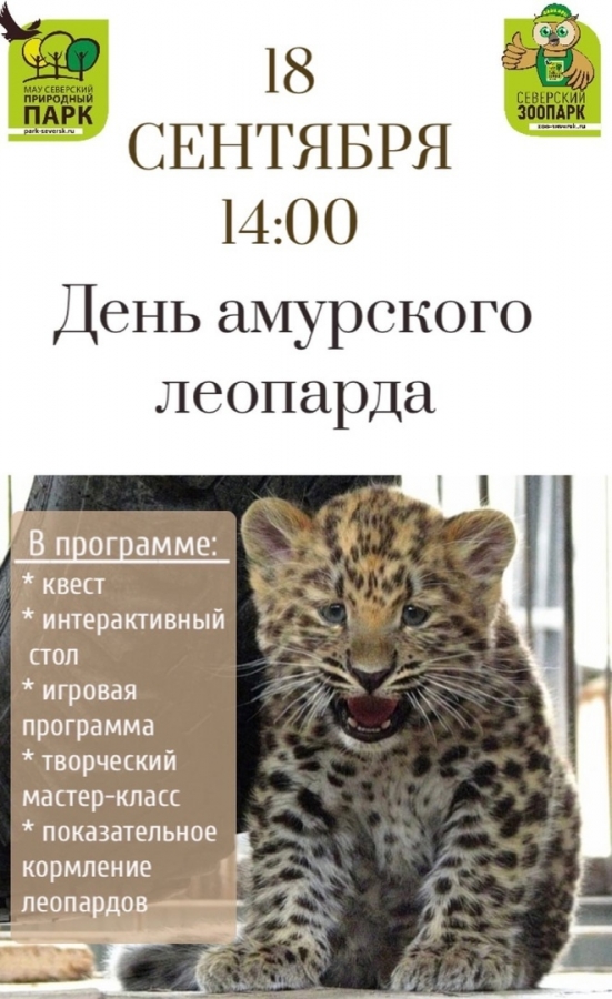День амурского леопарда
