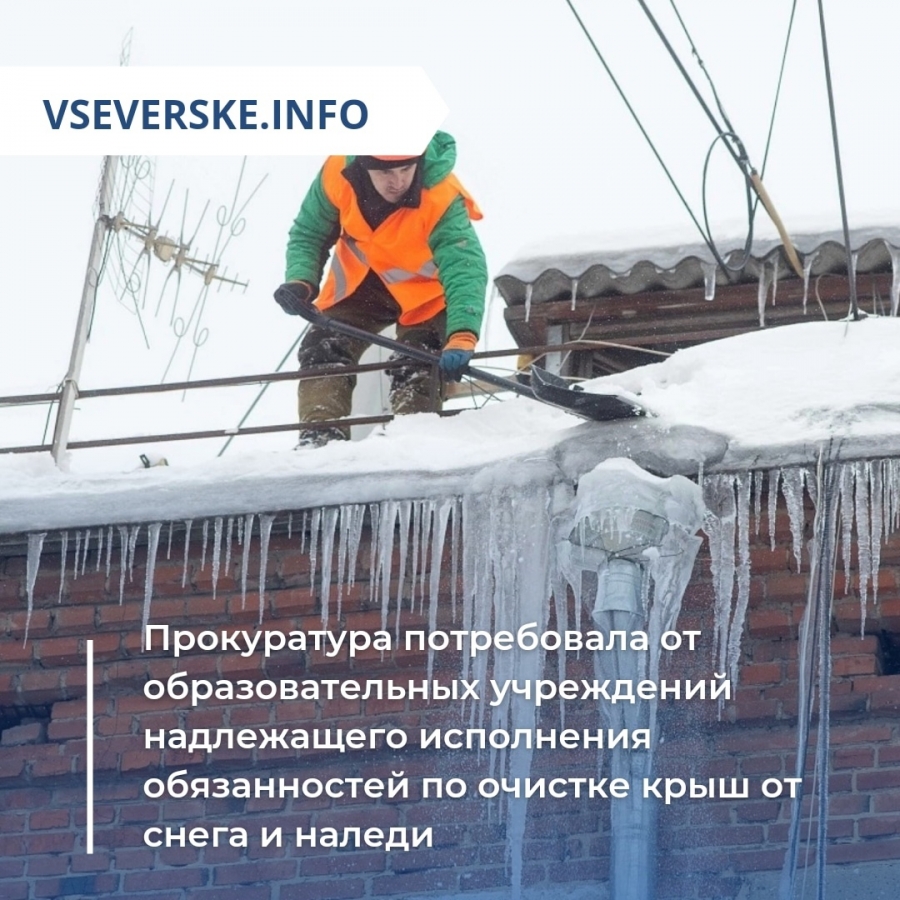 Общество » vseverske.info