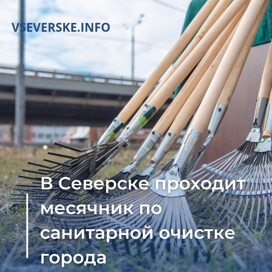 Общество » vseverske.info