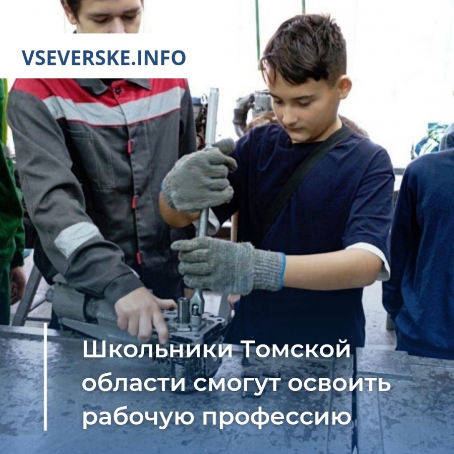 Школьники Томской области смогут освоить рабочую профессию