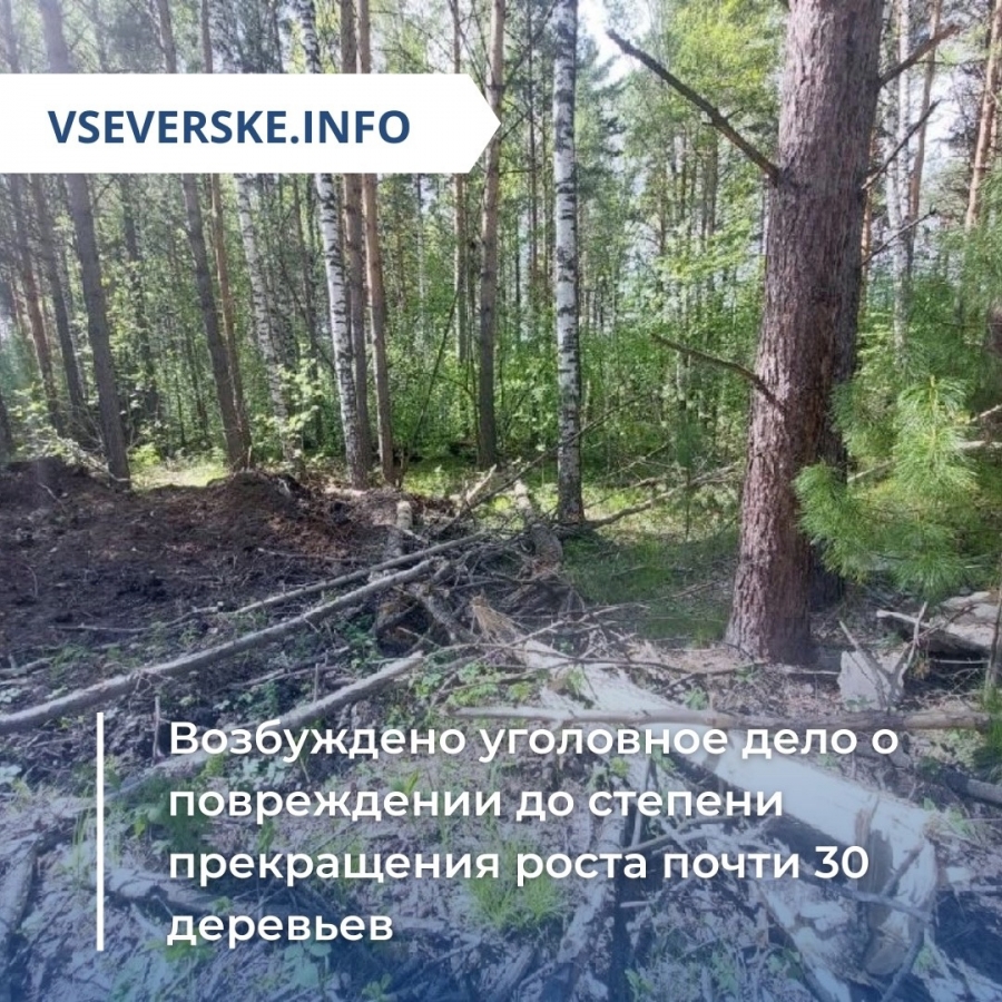 vseverske.info - Северск