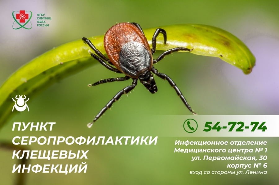 Куда обращаться, если укусил клещ Куда обращаться, если укусил клещ