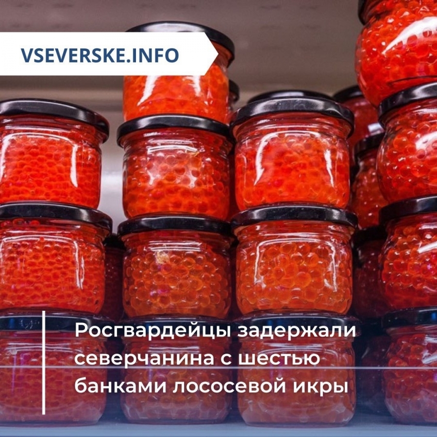 Росгвардейцы задержали северчанина с шестью банками лососевой икры Росгвардейцы задержали северчанина с шестью банками лососевой икры