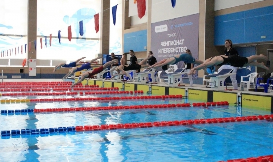 Успехи северских пловцов Успехи северских пловцов